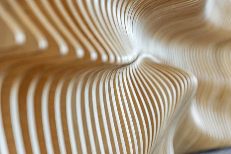 Nick Odonnell Contemporary Bench Wave Bench Sabel Palm Close Up Details Low Depth Of Field