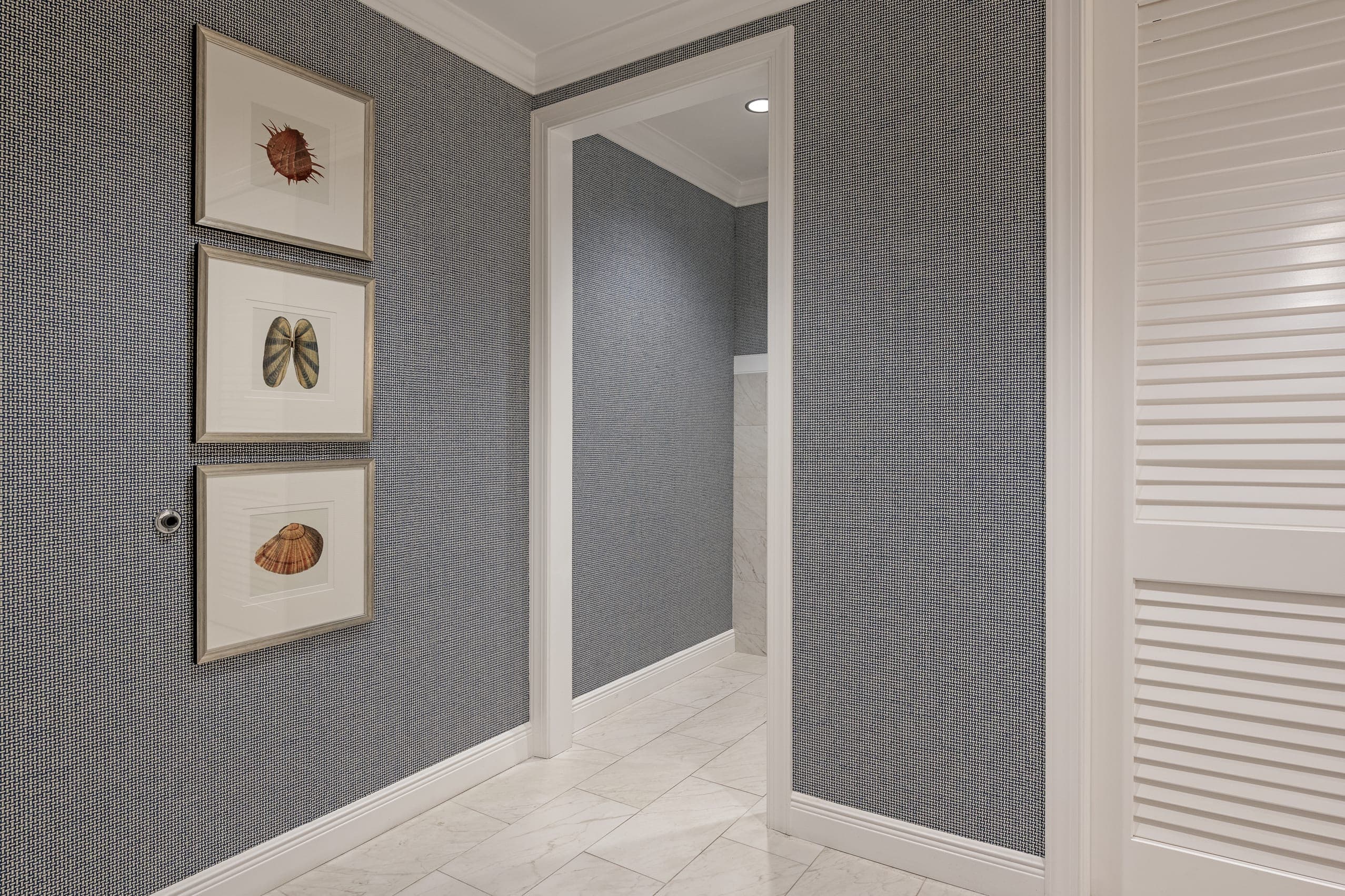 Sea Shells And Red Sea Erchin Paintings On Blue Texture Cross Hatch Wall With White Trim